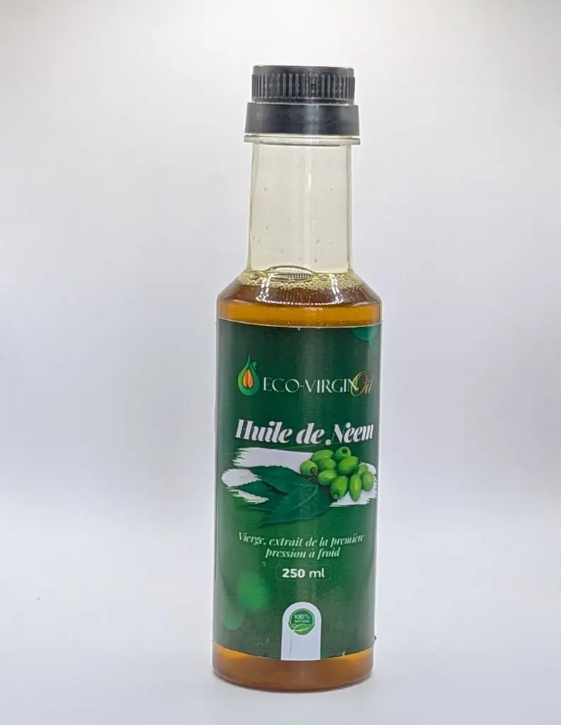 photo_5888786602954704317_y (1).webp