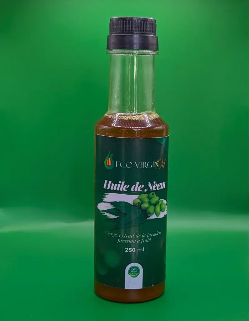 photo_5888786602954704318_y (1).webp